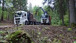 Holztransport - BPW Bergische Achsen