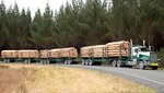 Timber - BPW Bergische Achsen